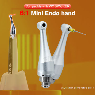 6/1 Kepala Handpiece Endodontik Gigi untuk Perawatan Saluran Akar Motor Endo 4.0N.cm