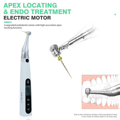 Endo Motor 6: 1 Dengan Motor Listrik Apex Untuk Pengobatan Endo Endo Motor Gigi